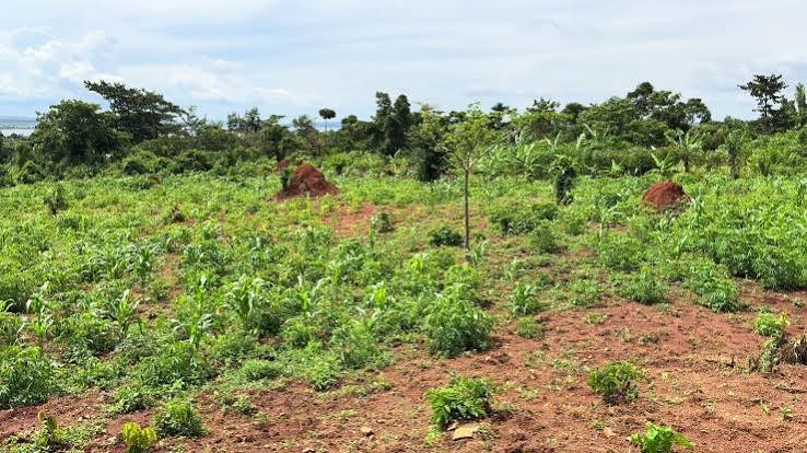 50 Decimal scenic waterfront agro farm & eco resort land