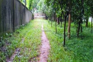 8 Katha Land Sell Boro Dewra Fokir Market Chonditola Road Tongi Gazipur