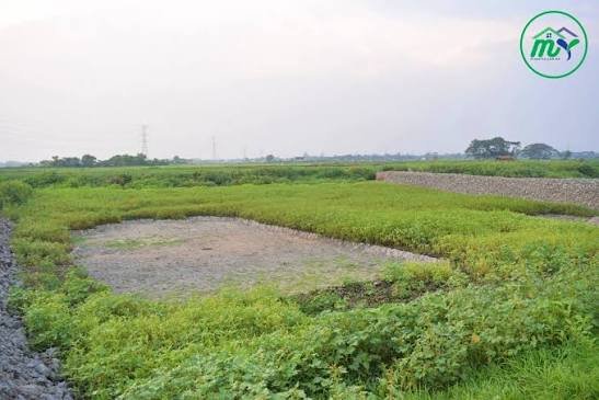 26 Shotangsho Land Sell Dhaka Keraniganj Ati Vaul